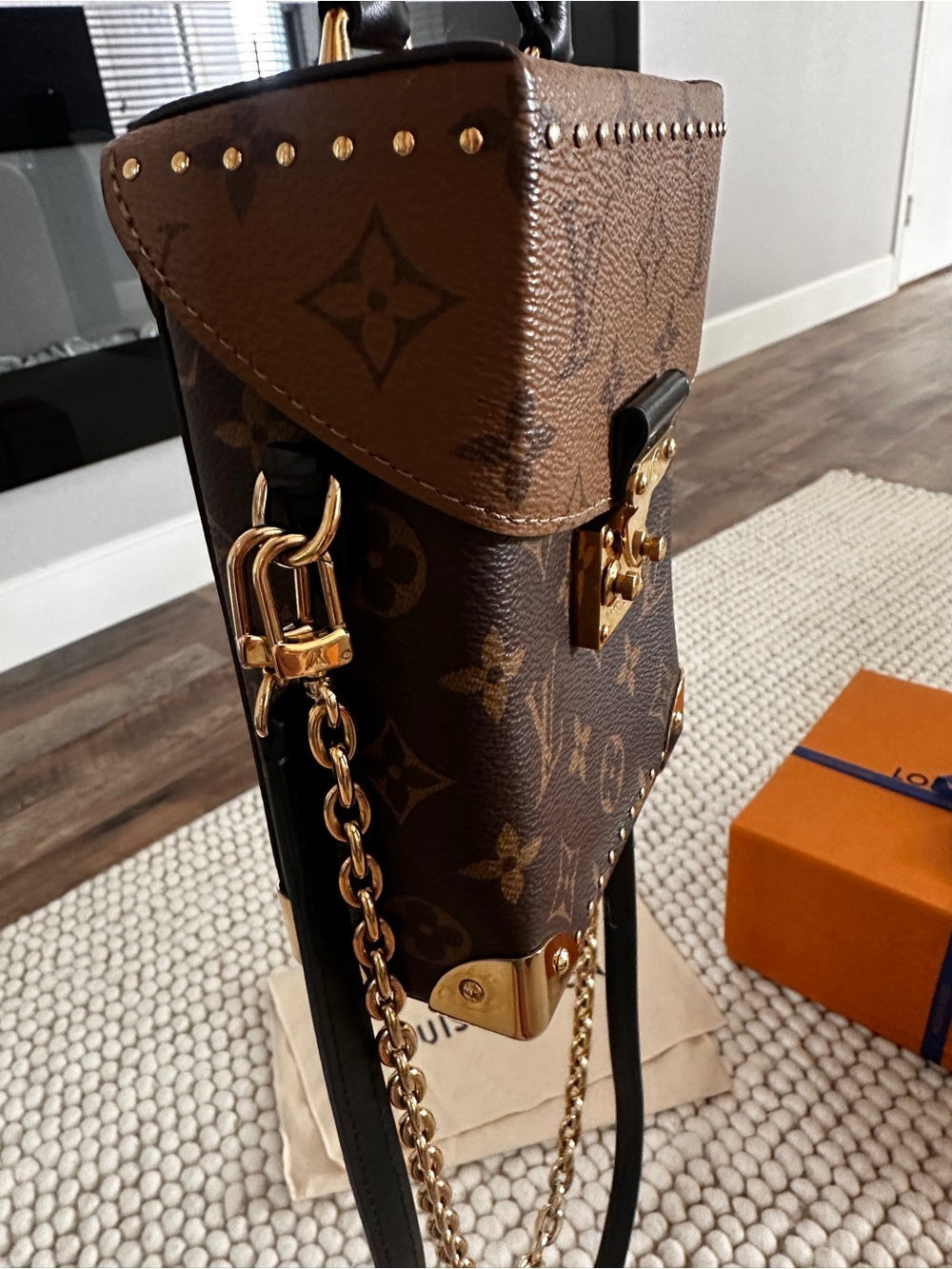 Louis Vuitton Camera Box Bag - Picture 8 of 16